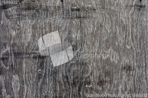 Image of wooden texture dramatic light, natural pattern