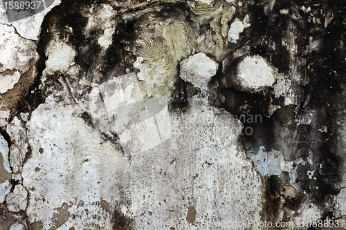 Image of Background from high detailed fragment stone wall