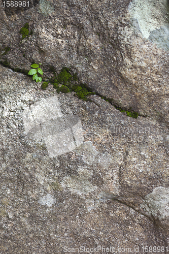 Image of Background from high detailed fragment stone wall