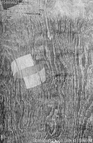 Image of wooden texture dramatic light, natural pattern