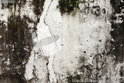 Image of Background from high detailed fragment stone wall