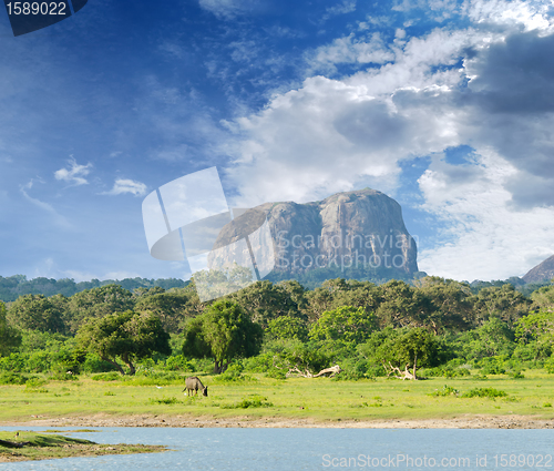 Image of mountain in the shape of an elephant figure