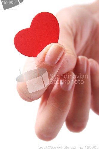 Image of Hand and Heart