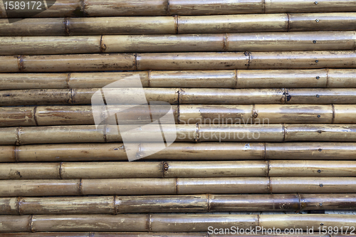 Image of old bamboo background