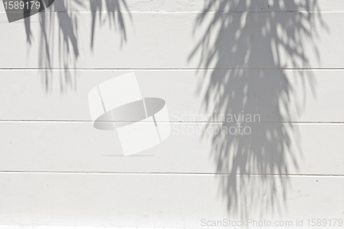 Image of cement wall with a shade from palm trees
