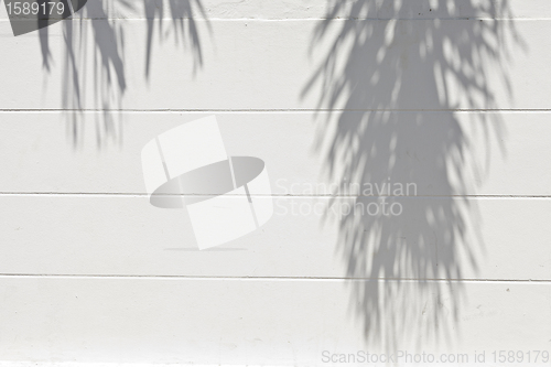 Image of cement wall with a shade from palm trees