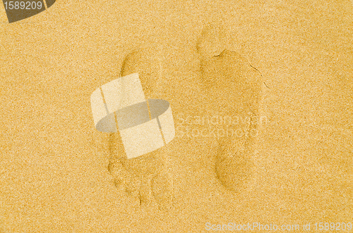 Image of human footprint in the sand