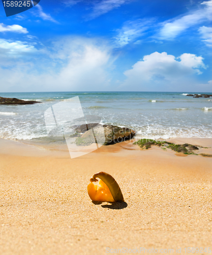 Image of travel background