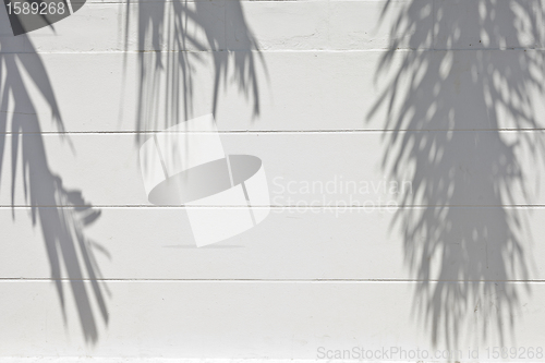 Image of cement wall with a shade from palm trees