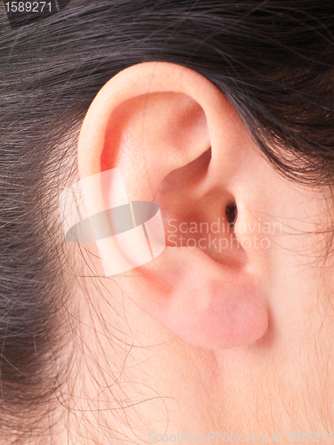 Image of Close-up woman's ear