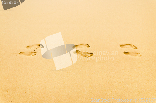 Image of human footprint in the sand