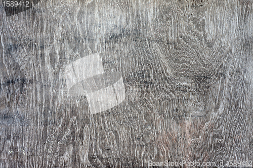 Image of wooden texture dramatic light, natural pattern