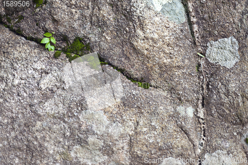 Image of Background from high detailed fragment stone wall