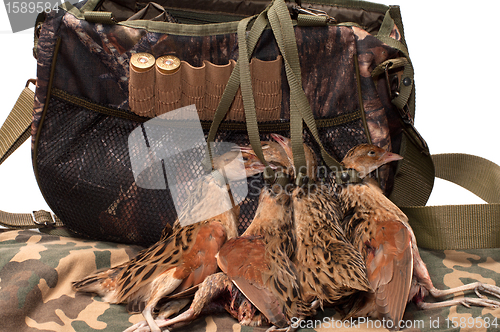 Image of Fowling bag and bird.