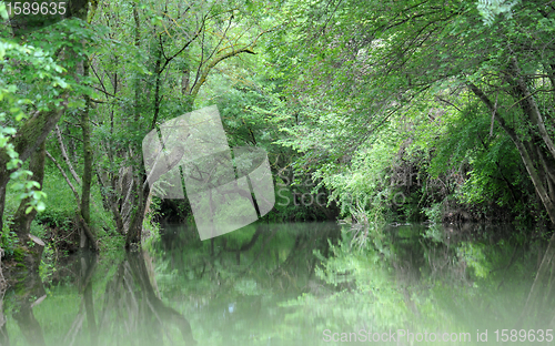 Image of river