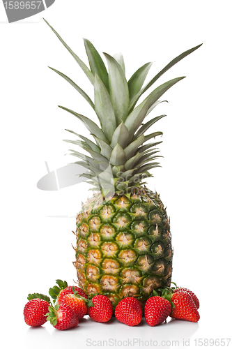 Image of Isolated fruits - Pineapple and Strawberries 