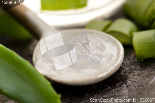 Image of aloe vera juice with fresh leaves