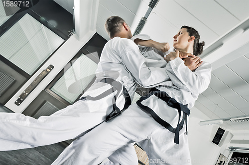 Image of martial arts fighters