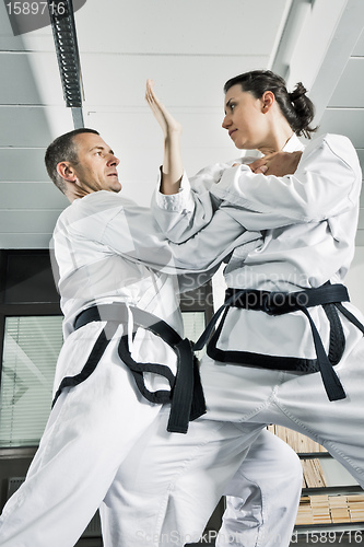 Image of martial arts fighters