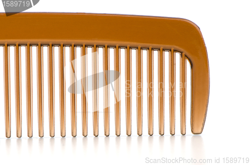 Image of Brown comb closeup