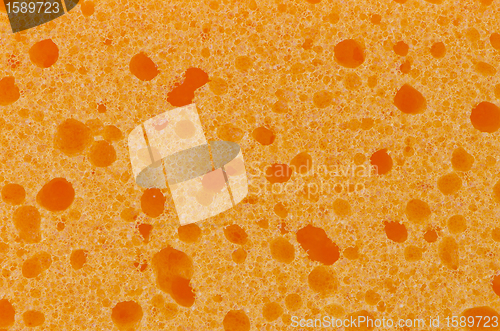 Image of Orange sponge