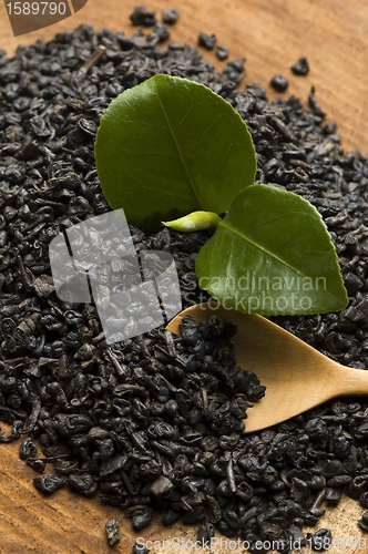 Image of Fresh and dried tea