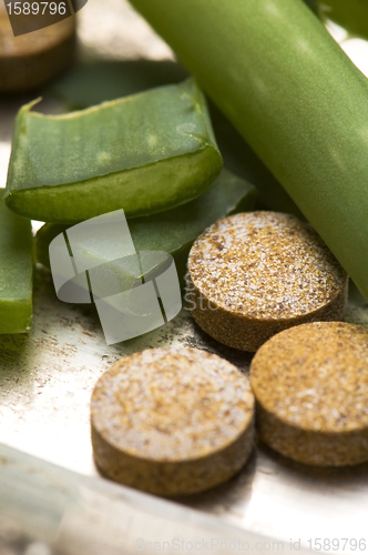 Image of aloe vera plant with pills - herbal medicine