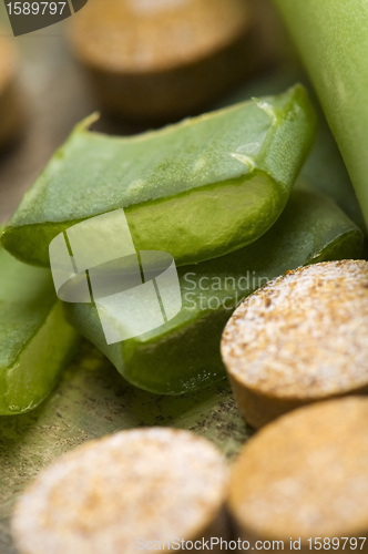 Image of aloe vera plant with pills - herbal medicine