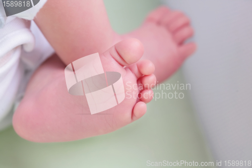 Image of newborn foots