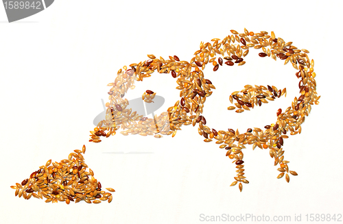 Image of Seed's bird eating on white background