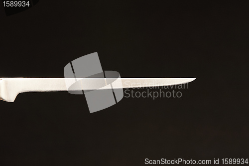 Image of Blade of fillet knife