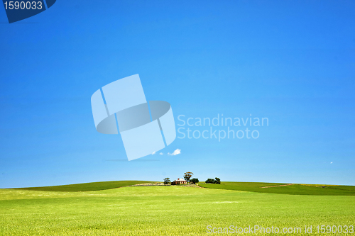 Image of farm has fields of wheat