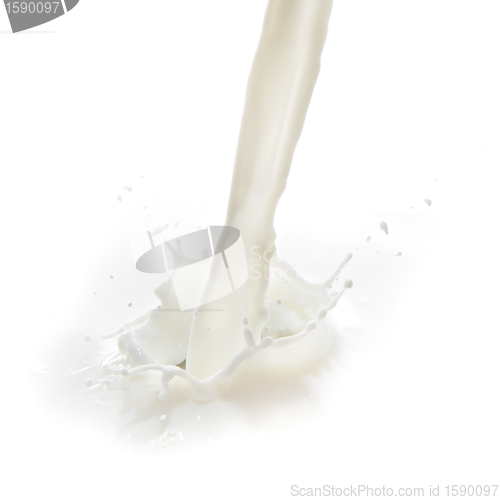 Image of milk splash