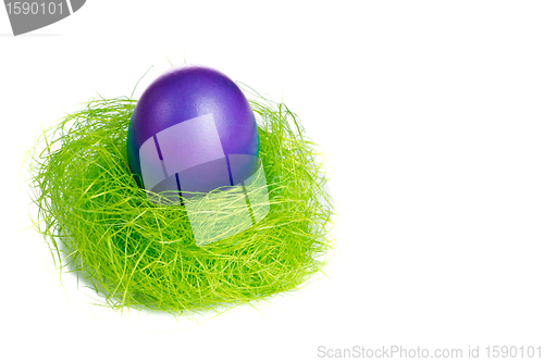 Image of easter egg in nest