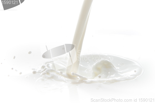 Image of milk splash