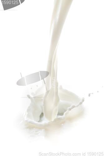 Image of milk splash