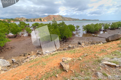 Image of Seraya Island, Indonesia