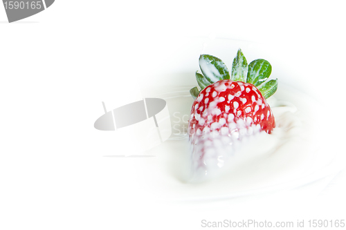 Image of strawberry splashing into milk