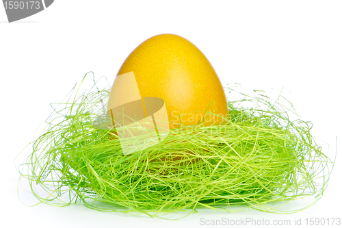 Image of easter egg in nest