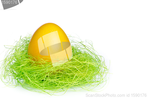 Image of easter egg in nest