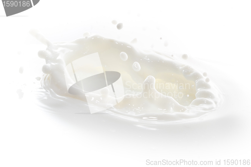 Image of milk splash