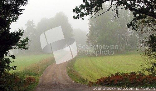 Image of Foggy road