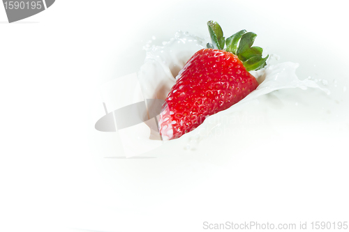 Image of strawberry splashing into milk