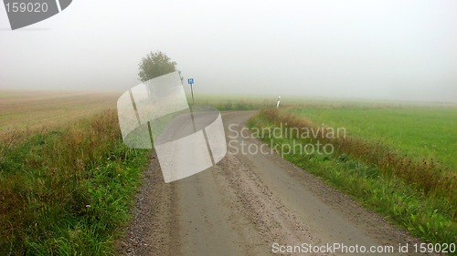 Image of Misty road