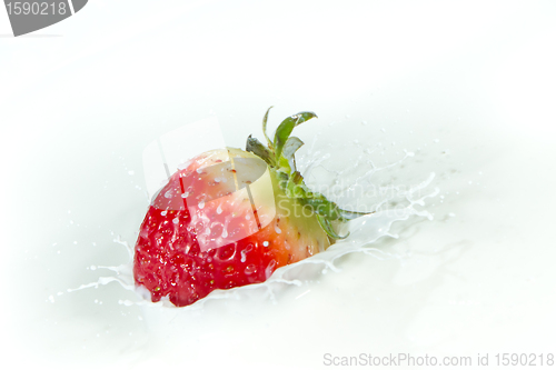 Image of strawberry splashing into milk