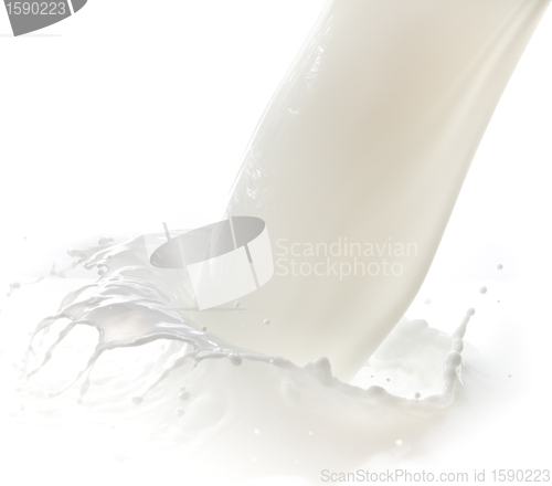 Image of milk splash