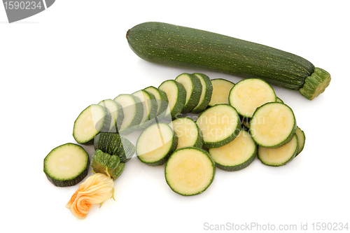 Image of Zucchini