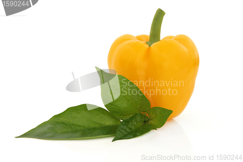 Image of Yellow Pepper
