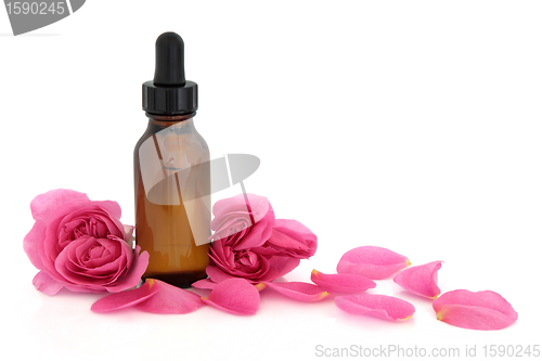 Image of Rose Flower Essence