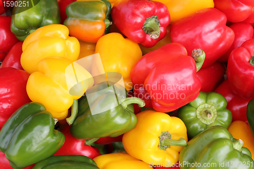 Image of Red, Yellow and Green Peppers